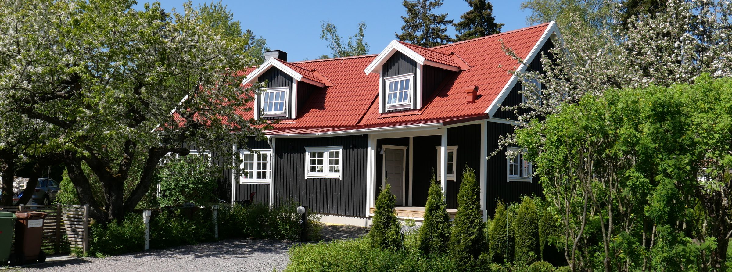 Svart trähus med rött plåttak omgivet av blommande fruktträd